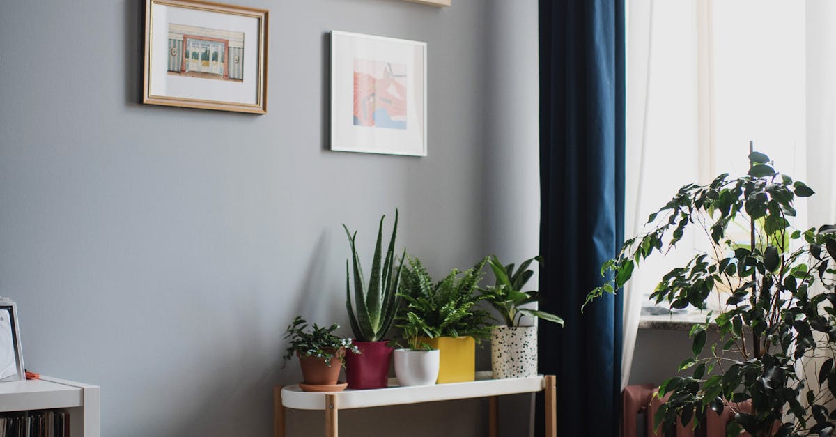 What is the 18 inch rule for rugs?